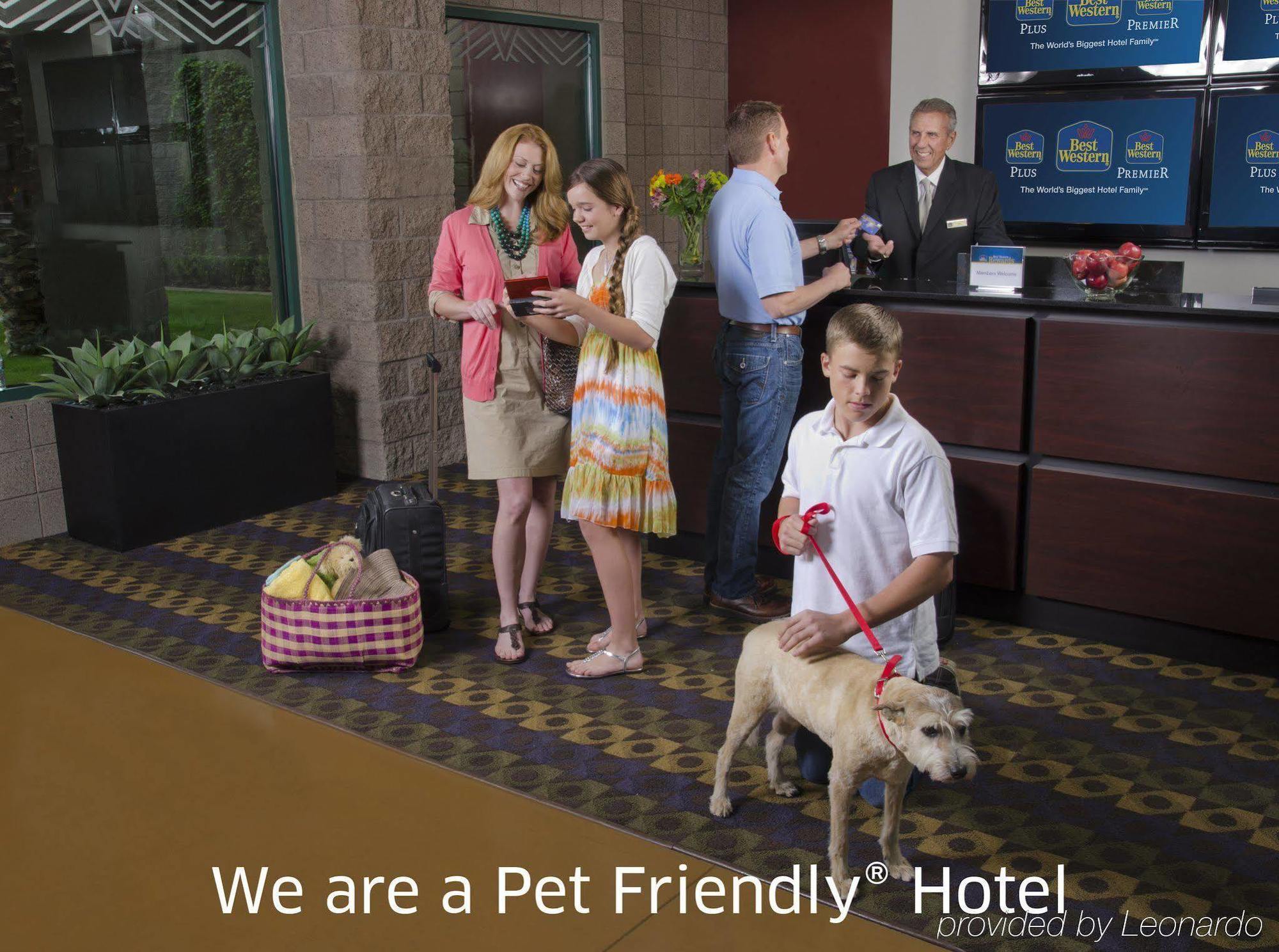 Best Western Conway Bagian luar foto